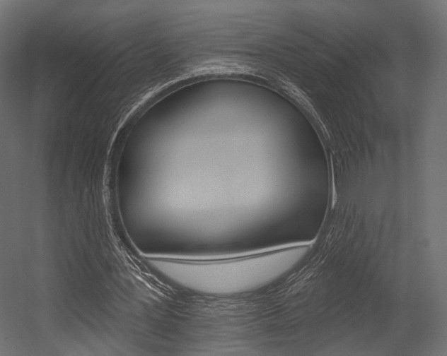 X0000054460387200507291027