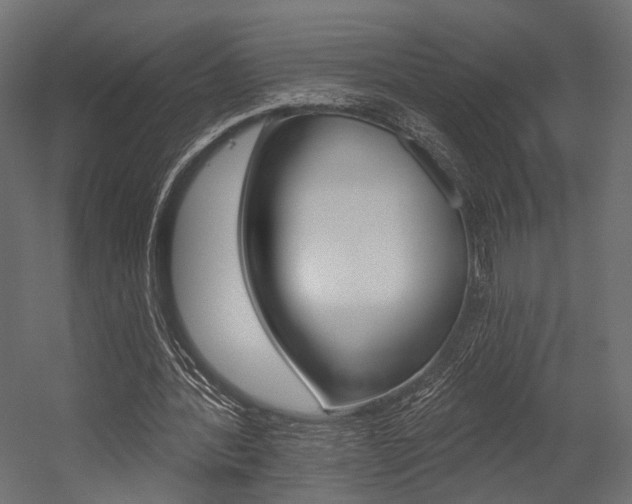 X0000054460388200507291027