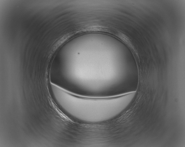 X0000054460389200507291027