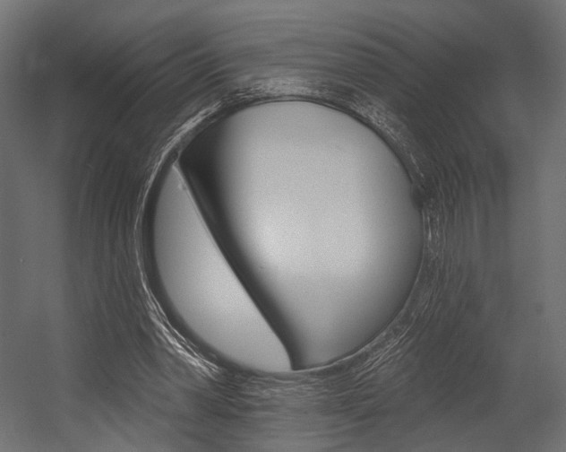 X0000054460390200507291027