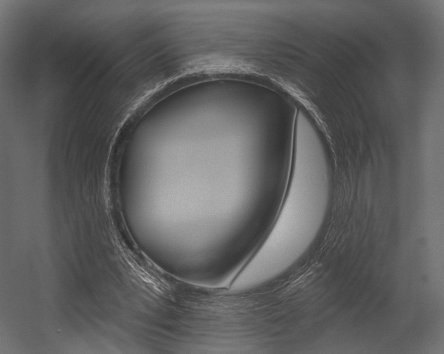 X0000054460391200507291027