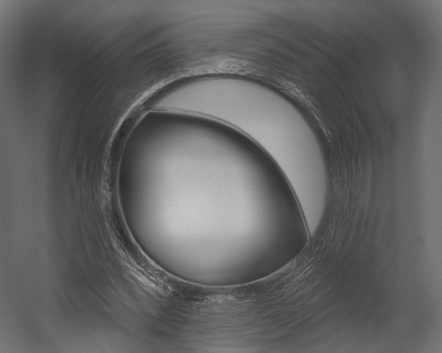 X0000054460392200507291027