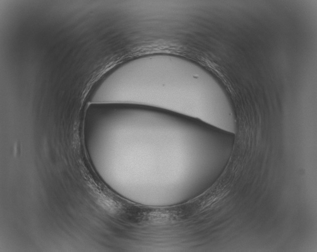X0000054460394200507291027