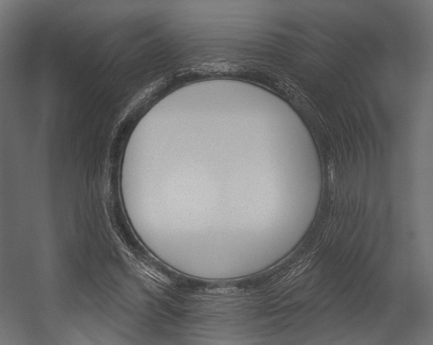 X0000054460396200507291027