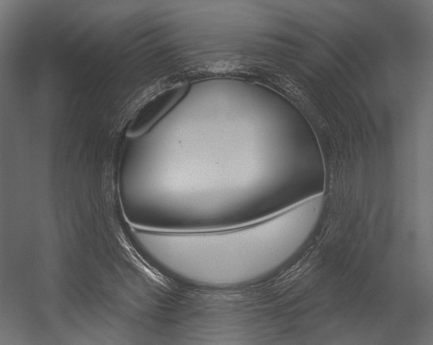 X0000054460397200507291027
