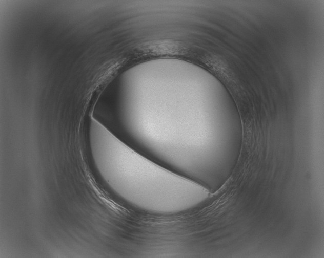 X0000054460398200507291027