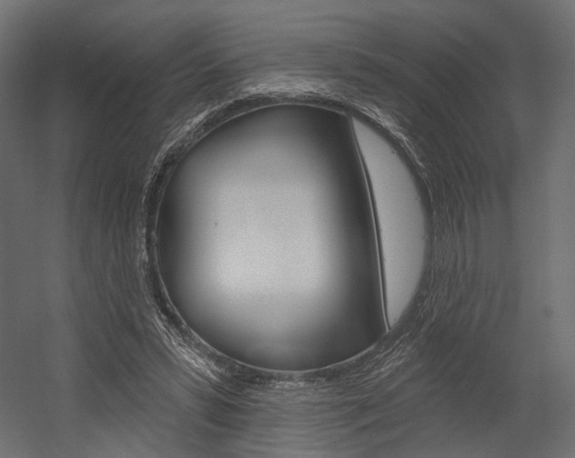 X0000054460399200507291027