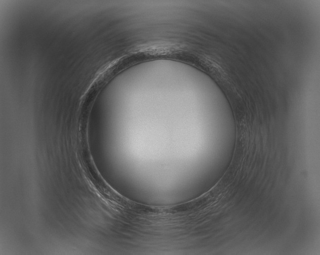 X0000054460400200507291027