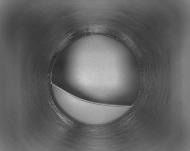 X0000054460401200507291026