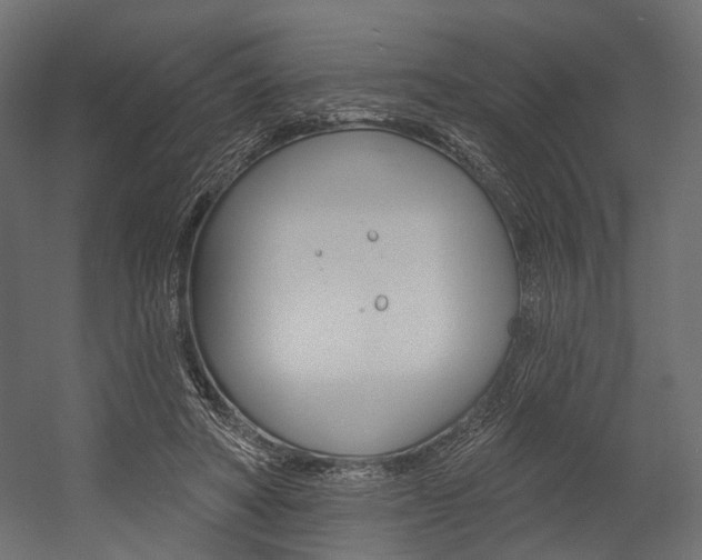 X0000054460402200507291026