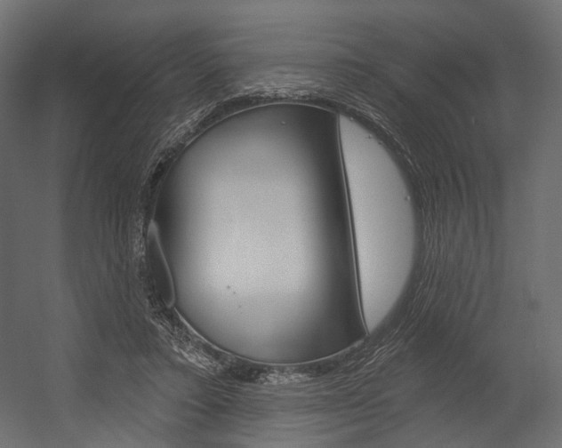 X0000054460403200507291026