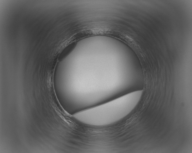 X0000054460405200507291026