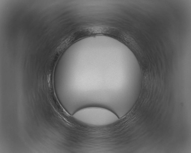 X0000054460406200507291026