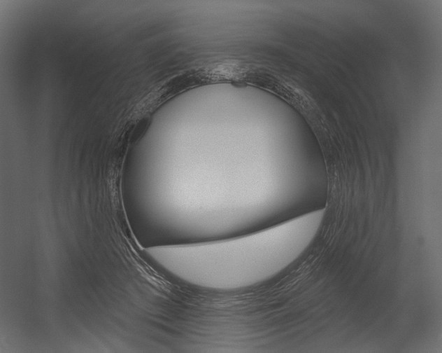 X0000054460409200507291026