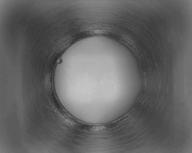 X0000054460410200507291026