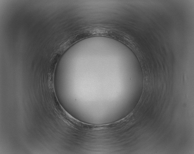 X0000054460411200507291026