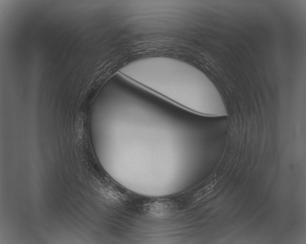 X0000054460412200507291026