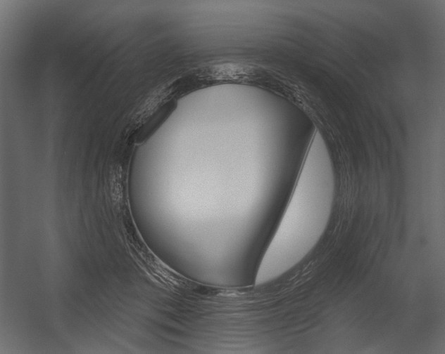 X0000054460413200507291026