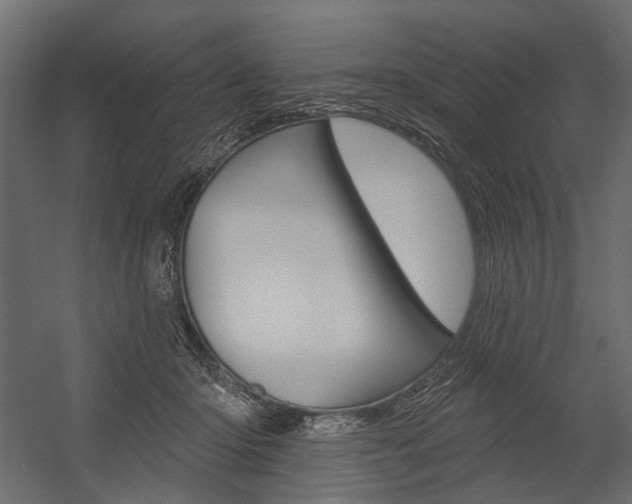 X0000054460414200507291026