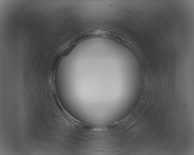 X0000054460415200507291026