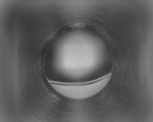 X0000054460416200507291026