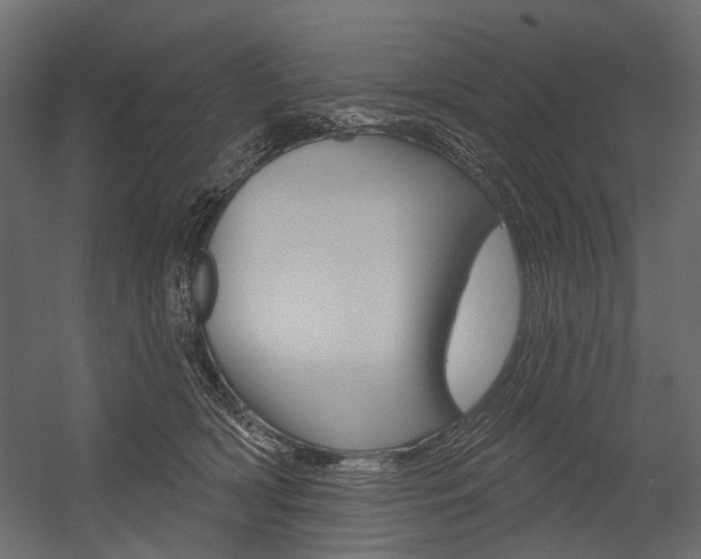 X0000054460418200507291026
