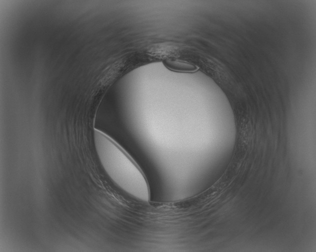 X0000054460420200507291026