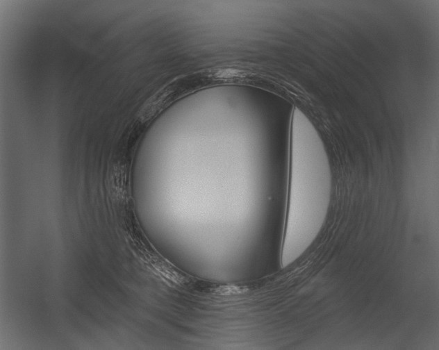 X0000054460421200507291026