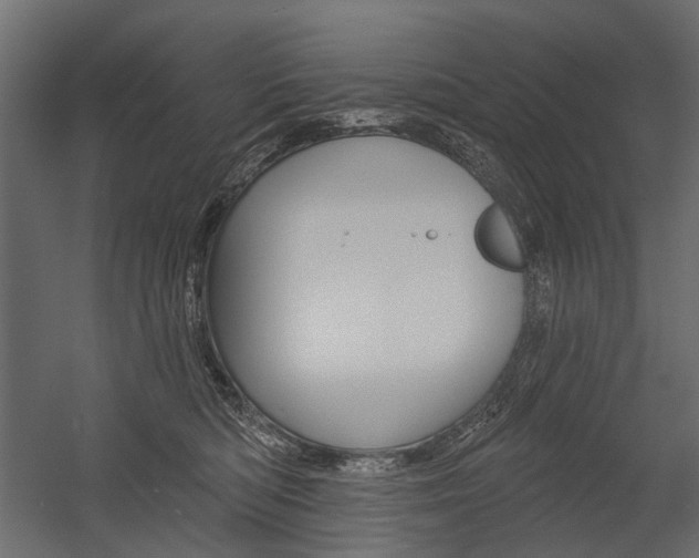 X0000054460422200507291026