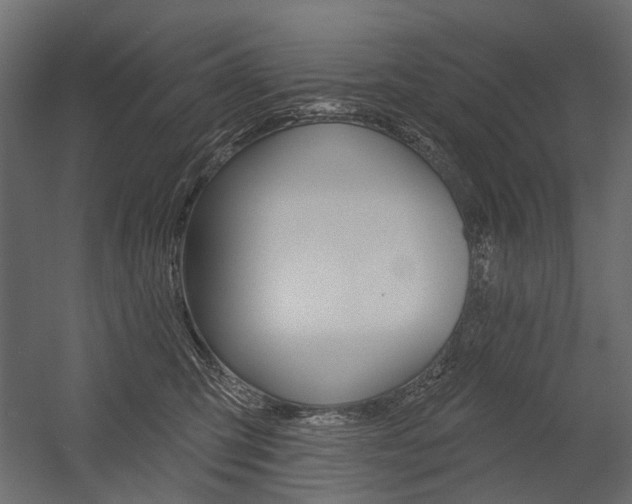 X0000054460423200507291026