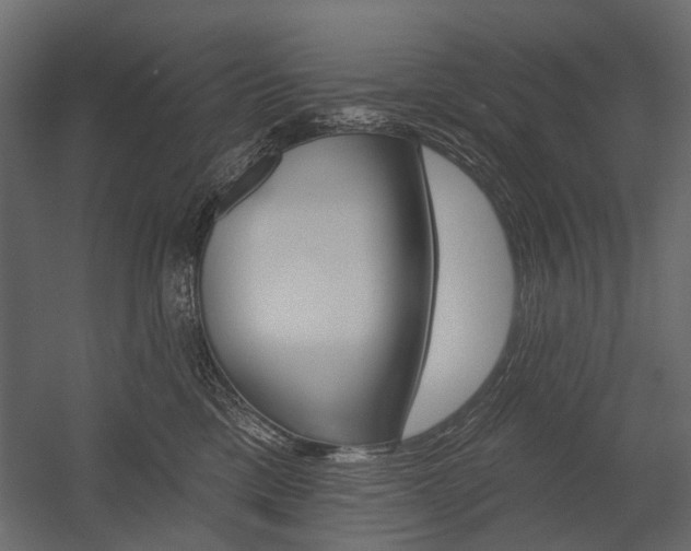 X0000054460425200507291026