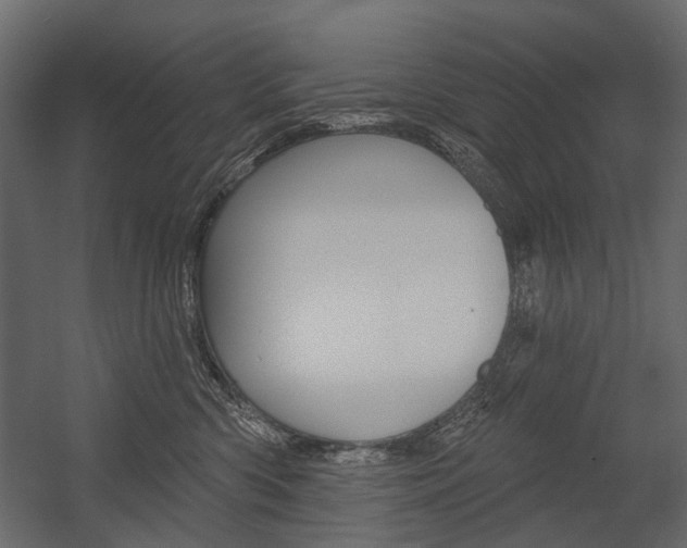 X0000054460426200507291026
