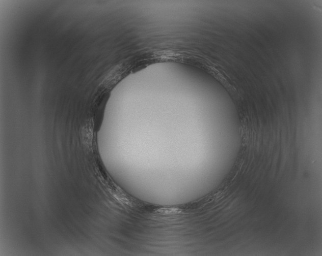 X0000054460427200507291026