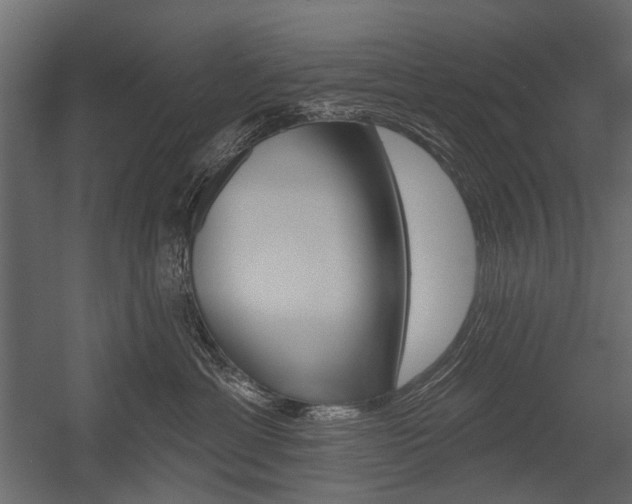 X0000054460429200507291026