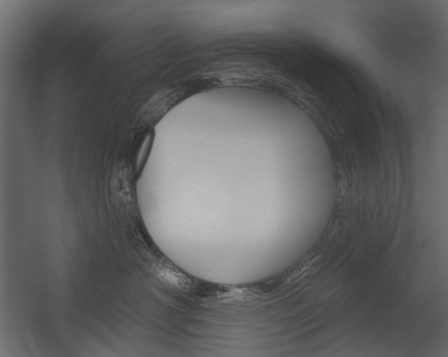 X0000054460430200507291026