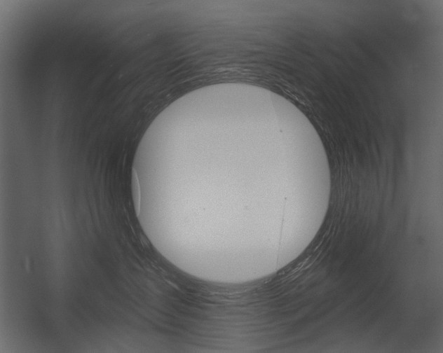 X0000054460431200507291026