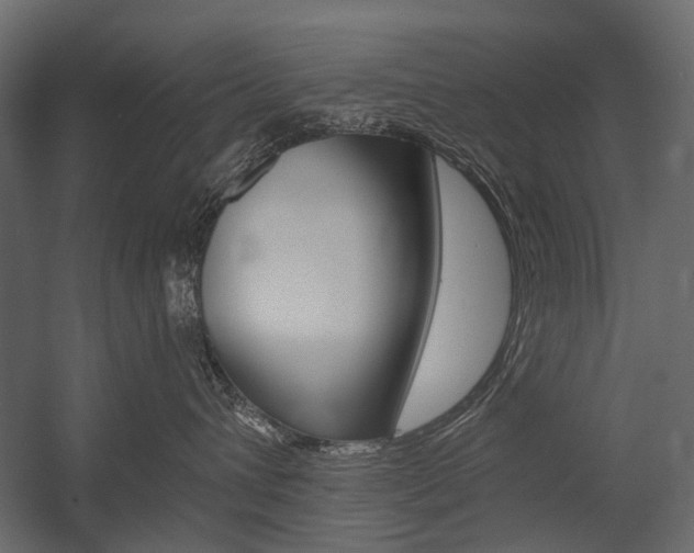 X0000054460432200507291026