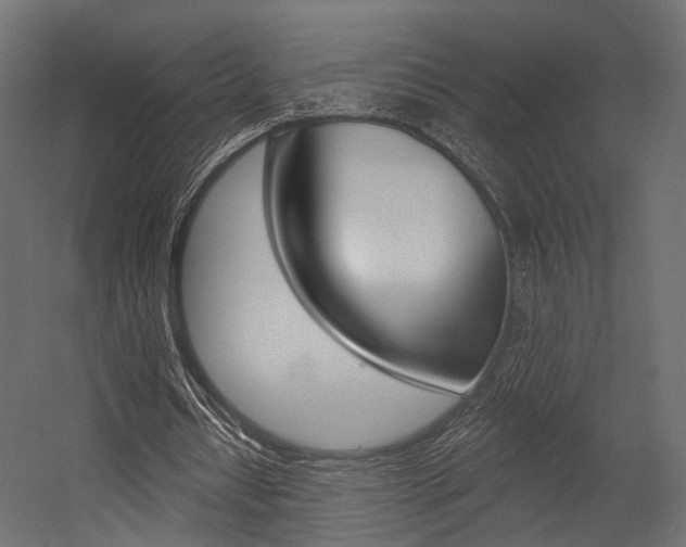 X0000054460434200507291025