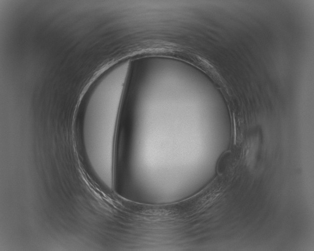 X0000054460435200507291025