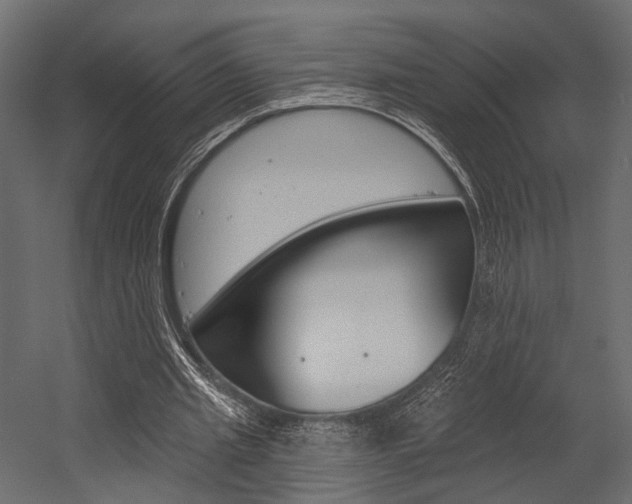 X0000054460437200507291025