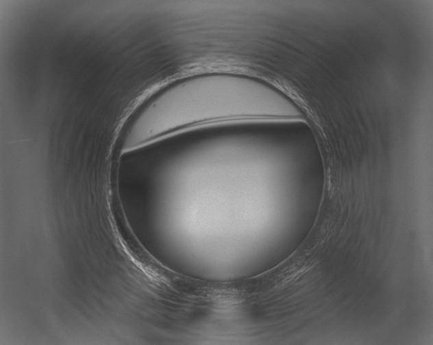 X0000054460438200507291025