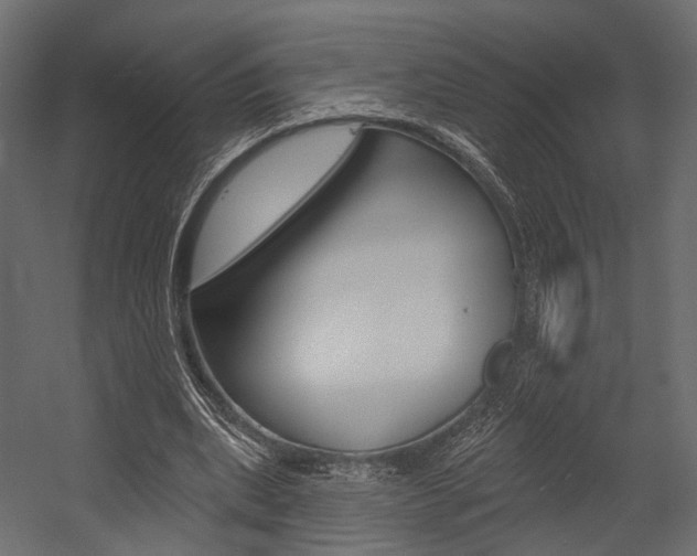 X0000054460439200507291025