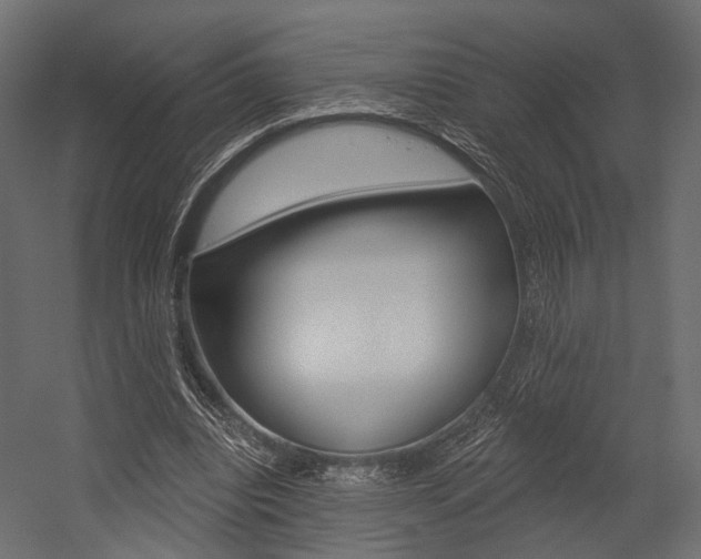 X0000054460440200507291025