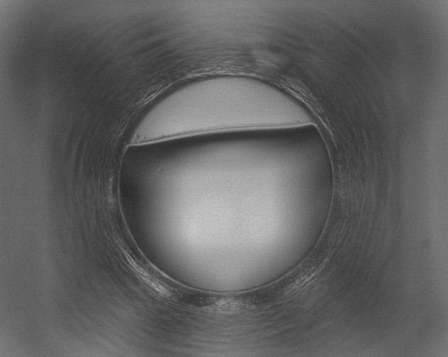 X0000054460441200507291025