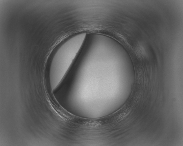 X0000054460443200507291025