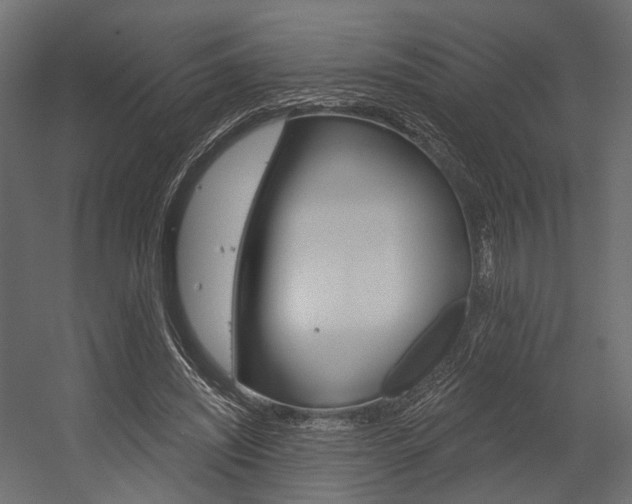 X0000054460444200507291025
