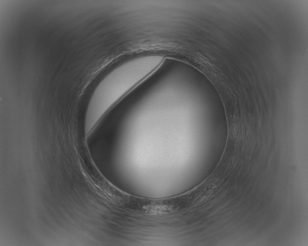 X0000054460448200507291025