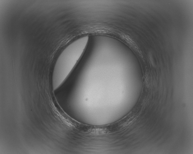 X0000054460449200507291025