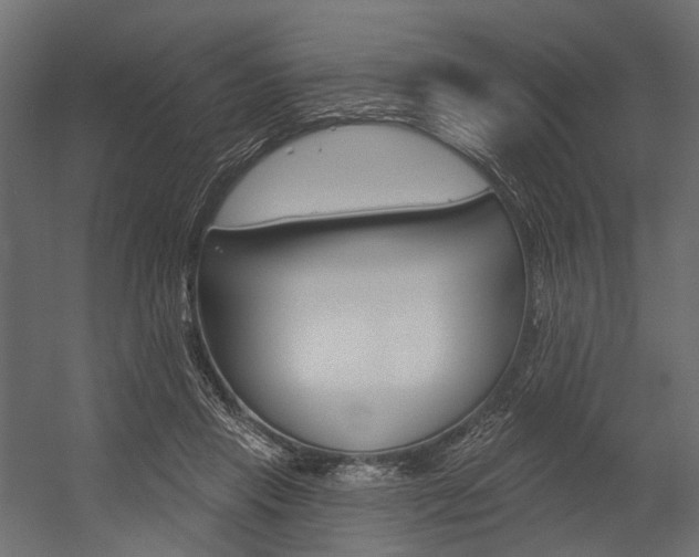 X0000054460453200507291025