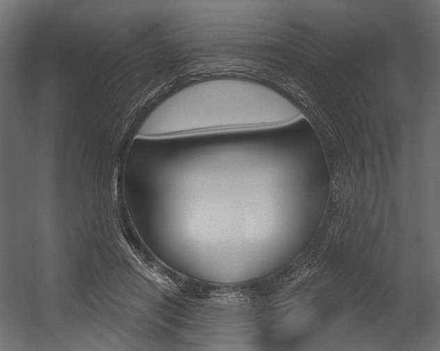 X0000054460454200507291026